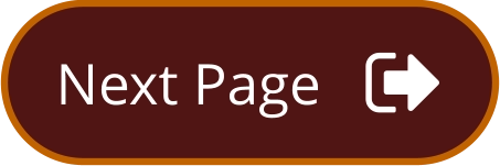 Next Page